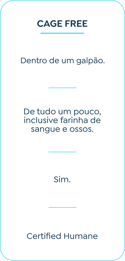 Cage Free